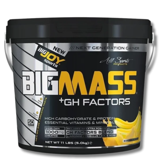 BigJoy Sports Big Mass +GH Factors 5000 Gr